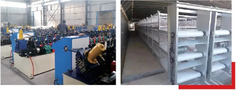 Automatic Poultry Farm Equipment for Chicken Feeding/Drinking/Cooling/Heating System for Layer